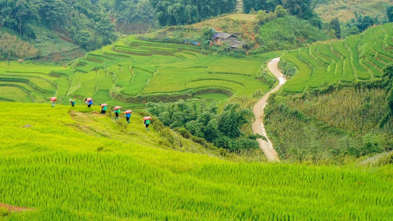 Sapa Fantasea Homestay Esterno foto
