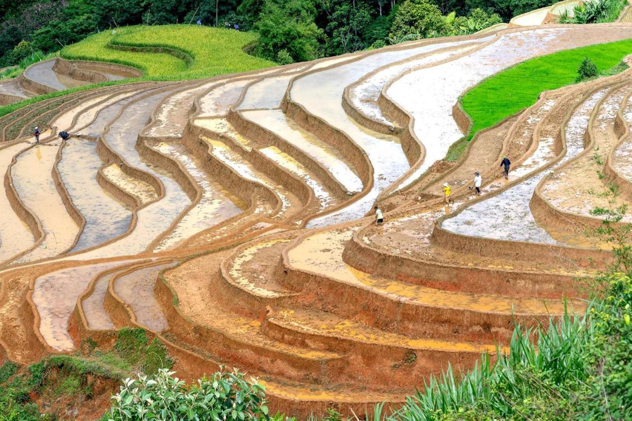 Sapa Fantasea Homestay Esterno foto